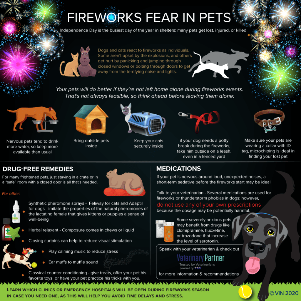 Fireworks Fear in Pets