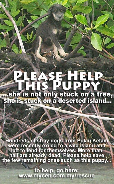 Pulau Ketam Dog Rescue Mission Poster