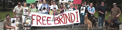 Free Brindi