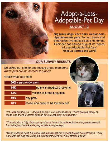 Adopt a Less Adoptable Pet Day -- August 12, 2009