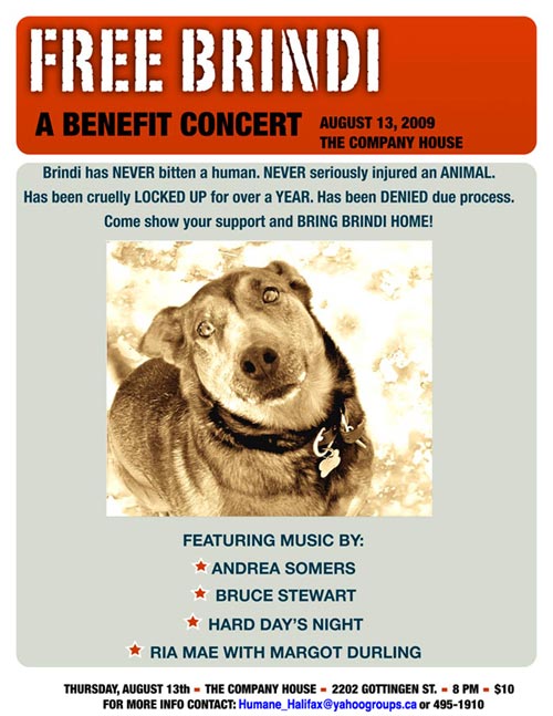 Free Brindi! Benefit Concert August 13 in Halifax, NS
