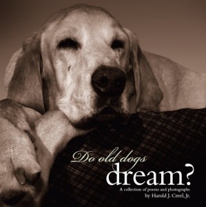 Do Old Dogs Dream?