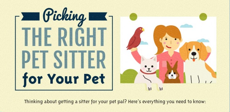 How to pick a Pet Sitter
