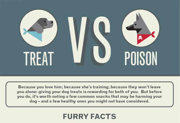 Treat vs poison for dogs