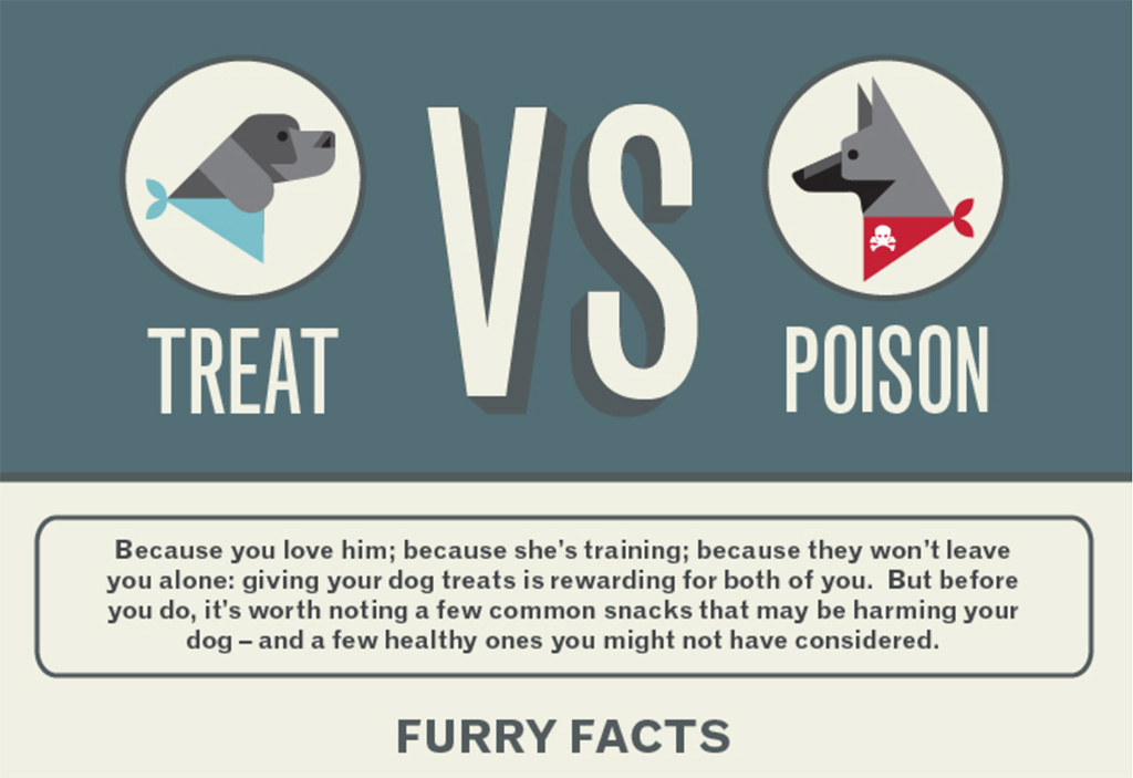 Treat or Poison for your Dog | beingstray.com